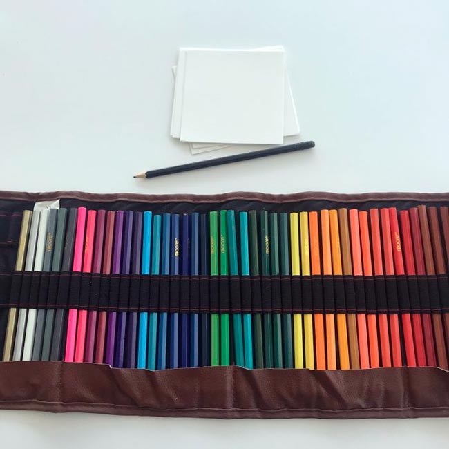 100 day proyect carolina oneto