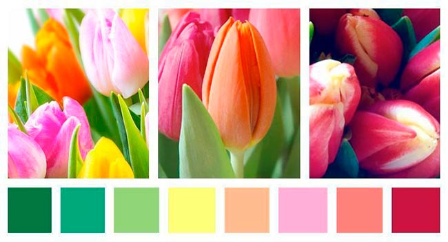 paleta colores primavera carolina onetto